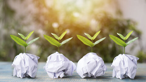 Adobe Stock 167234704 72dpi