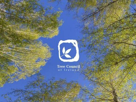 Tree Council 576 576