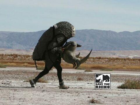 Rhino trecking 700 700