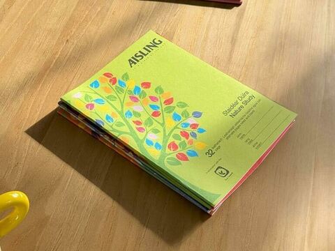 Aisling green book desk 768 576