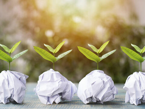 Sustainability 899 600